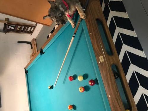 Finn Billiards